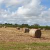 4 x 4 Sorghum Round bales 