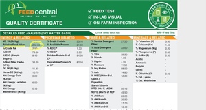 Vetch A1 Premium quality 
