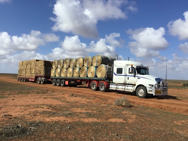 500mt Wheaten Hay 650-700kg 8x4x3 Bales + Freight