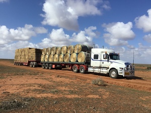 500mt Wheaten Hay 650-700kg 8x4x3 Bales + Freight