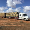 500mt Wheaten Hay 650-700kg 8x4x3 Bales + Freight