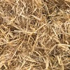 Barley Header Tailings Straw