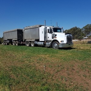 T800 Kenworth Truck & Dog Combo