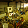 Complete EDP Potato Washing Line