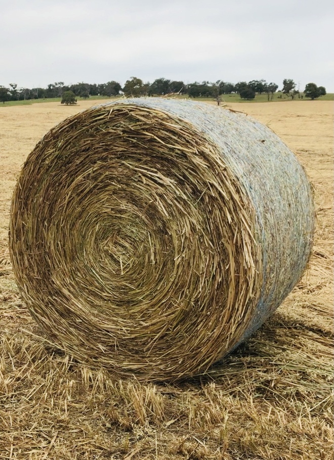 ** 5x4 Oaten Hay Rolls For Sale - Kilmore VIC **