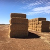 Wheaten Straw 8x4x3