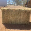 Organic Pasture Hay  Rye/Clover