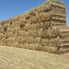 Windrowed Wheaten Straw 8x4x3 Bales