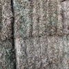 Vetch Hay Delivered only 190 bales