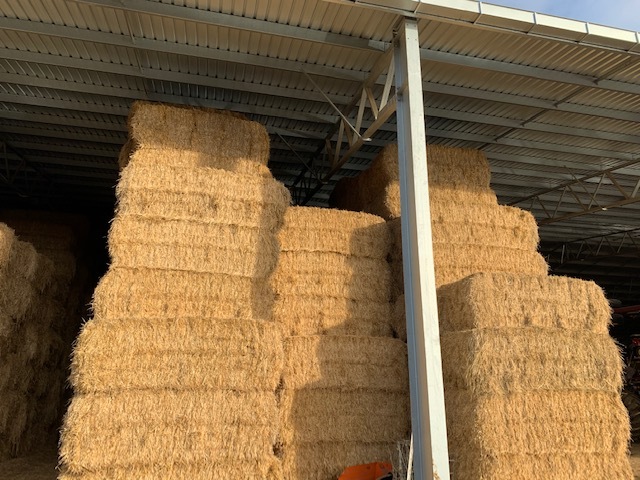 Barley Straw 8x4x3