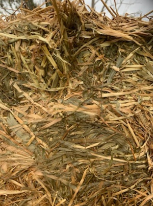 Vetch & Ryegrass Hay 8x4x3 