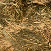 Vetch & Ryegrass Hay 8x4x3 