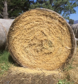 Oaten/Ryegrass Round Hay Bales For Sale