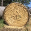 Oaten/Ryegrass Round Hay Bales For Sale