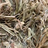 240mt Wheaten Hay 500kg 8x4x3 Bales