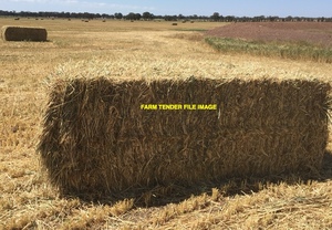 Wheaten Hay 8x4x3 Bales Shedded