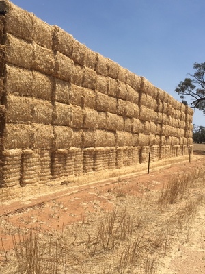 98t Header Trail Wheaten Straw 550kg bales 8x4x3