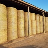 Good Quality Wheat /Vetch Hay For Sale
