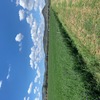 1000 x Lucerne Hay Small Bales - 2nd & 3rd cut - A grade