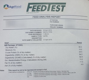 400/mt Feed Lentils For Sale