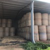 Irrigated Lucerne Hay in Round Bales