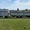 2016 20' 3x1 Stock Crate on a Marlin Tri Axle Dog Trailer