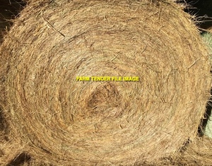 Pasture Hay 5x4 Rolls (Suit Sheep, Cattle & Horses)