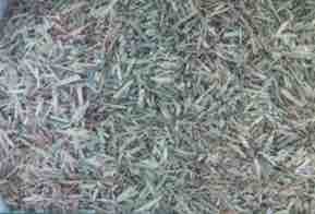 300 m/t of Wheaten Hay in 8x4x3 Bales Seller to Freight