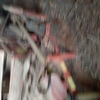 Hesston 1160 Mower Conditioner