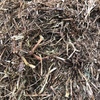  Vetch Hay 45 tonne 8x4x3