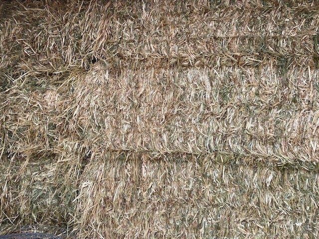 116mt Oaten Hay 513kg 8x4x3 Bales