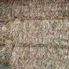 116mt Oaten Hay 513kg 8x4x3 Bales
