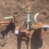 Under Auction - 3x Belt Driven Pumps 