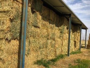 600 Wheaten Hay 550kg 8x4x3 Bales (Ex Skipton)