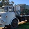1973 Leyland Chieftan Tipper