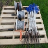 Temporary Electric Fencing (A)