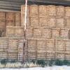 Wheat Straw 8x4x3 Bales
