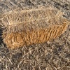 Oaten Hay 200  Small Squares