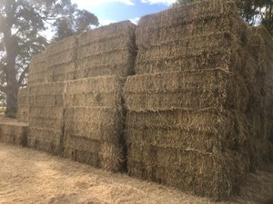 Mixed load medium squares 94 - 3 x3x8  Bales  - Sold By the Ton