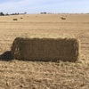 50mt Wheaten Hay 8x4x3 Bales