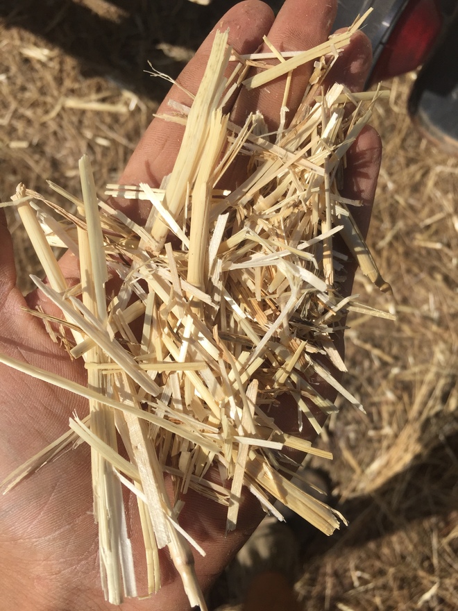 100mt Header Trailed Barley Straw 8x4x3 Bales