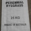 Perennial Ryegrass