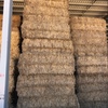 Wheaten Hay  200 Bales