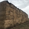 700 m/t of Canola Hay 8x4x3 670Kg Bales