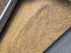 20t approx Williams oats for sale
