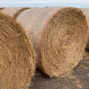 5×4 Vetch/wheaten and Vetch/Barley Hay