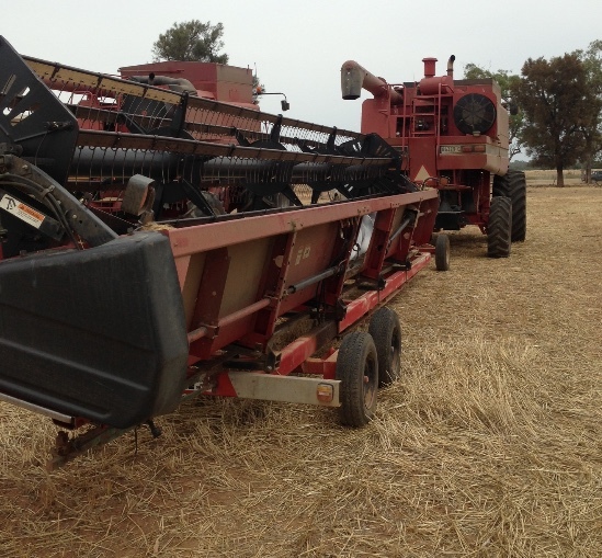 CASE IH 2166 HEADER / HARVESTER FOR SALE With 30FT 1010 Front on Leith Trailer - Come see Running!