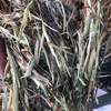 Oaten Vetch Hay Mix 700kg 8x4x3 Bales