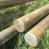 Concrete Power Poles