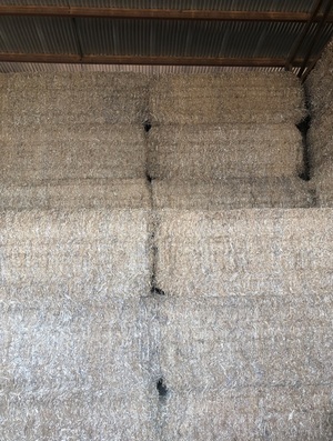 Vetch Hay 8x4x3 680kg bales shedded.